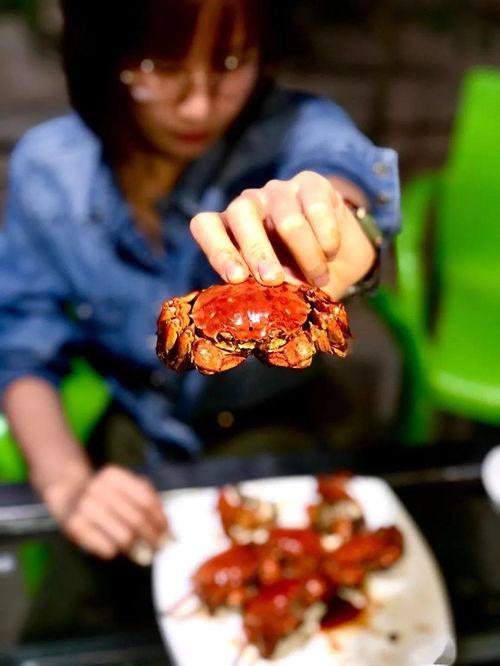 花好月圆吃瓜,一场别开生面的吃瓜盛宴