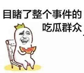 吃瓜群众可怜吗,他们为何如此可怜？