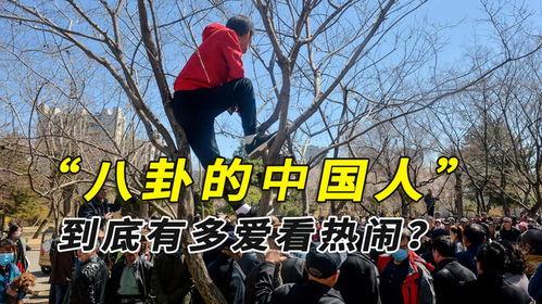 缅甸内战大爷大妈吃瓜,大爷大妈的“吃瓜”现场