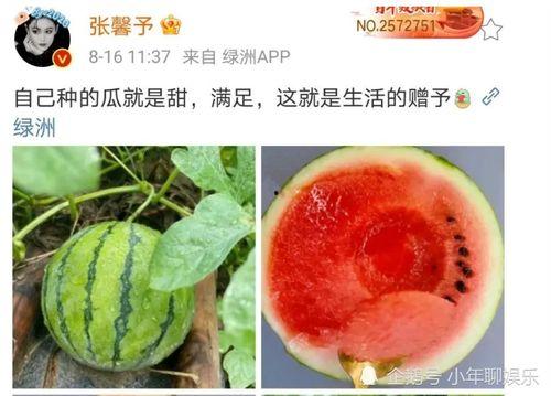 今年娱乐的吃瓜事件