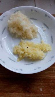 吃瓜小熊黄瓜,吃瓜小熊的黄瓜奇遇记