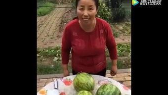 吃瓜小张张,揭秘娱乐圈那些不为人知的幕后故事