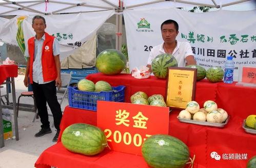 甜瓜吃瓜现场,揭秘甜瓜吃瓜的欢乐瞬间