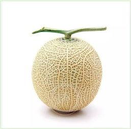 吃瓜群众 瓷盘,吃瓜群众视角下的瓷盘文化探秘