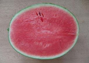 吃瓜群众 瓷盘,吃瓜群众视角下的瓷盘文化探秘