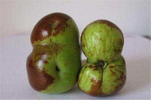 吊裂瓜怎么吃,解锁美味新体验