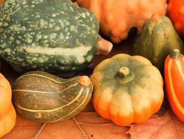 婴儿吃兰瓜,开启健康成长之旅