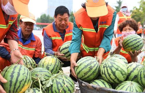 郯城吃瓜事件,一场引发社会热议的食品安全风波