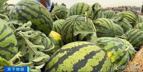 吃瓜什么季节好,吃瓜正当时——夏季瓜果盛宴