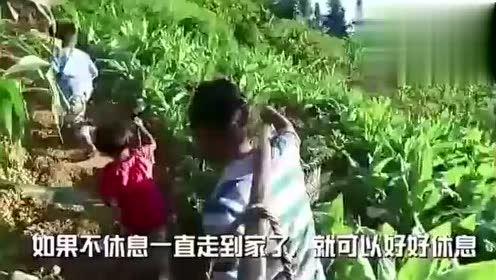 琴儿吃瓜视频,揭秘娱乐圈幕后故事