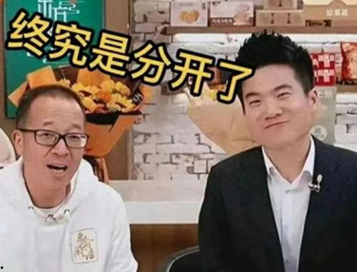 与辉同行吃瓜,揭秘娱乐圈幕后故事