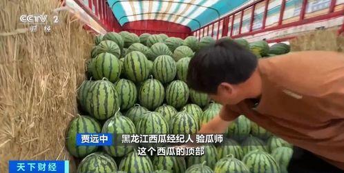 项城吃瓜,探寻地方特色美食的甜蜜奥秘