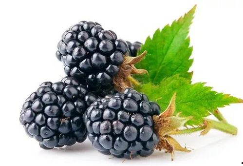 蜜瓜和桑葚能一起吃吗,美味搭配，食用禁忌揭秘