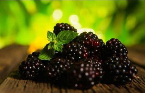 蜜瓜和桑葚能一起吃吗,美味搭配，食用禁忌揭秘