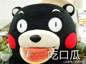 做小板凳吃瓜,共享悠闲时光的温馨瞬间