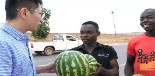 吃瓜黑了,网络热词背后的故事与影响