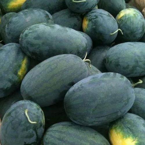 吃瓜有赏,揭秘娱乐圈幕后故事