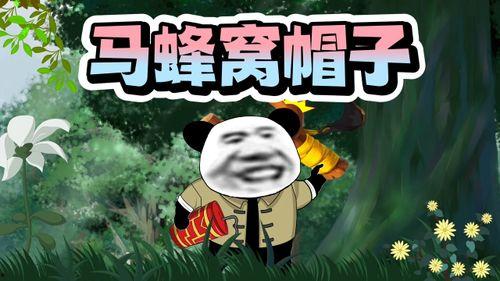 感谢老板吃瓜,我们一起来吃