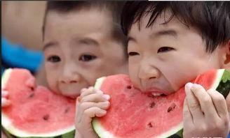 感谢老板吃瓜,我们一起来吃