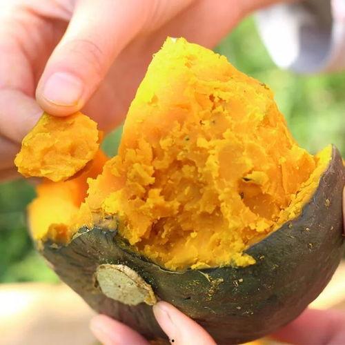 天天吃板栗瓜好吗,天天享用，健康美味两不误