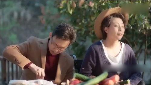 淡定吃瓜场面,笑看风云