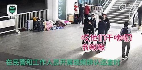 淡定吃瓜场面,笑看风云