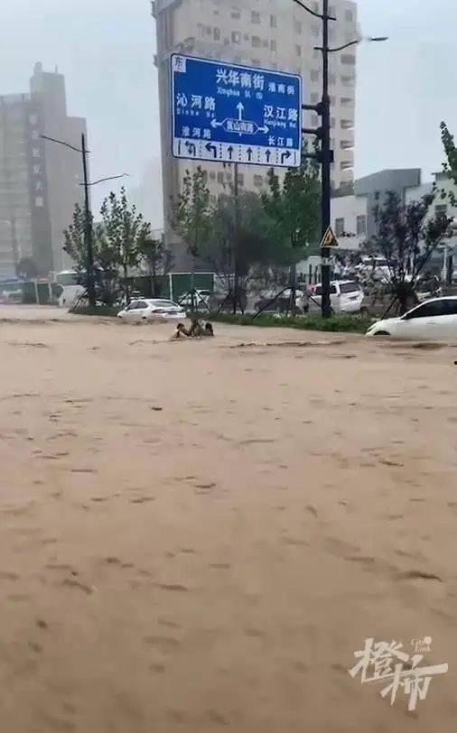 河南建筑吃瓜,吃瓜群众眼中的风云变幻