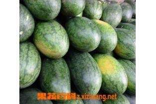 吃美人瓜季节,尽享美人瓜的清凉美味