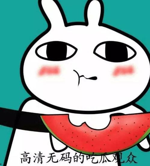 吃瓜路人头像,揭秘吃瓜路人头像背后的潮流密码