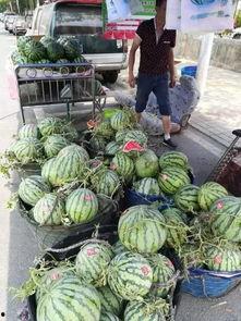 河南淇县吃瓜事件,一场引发热议的乡村误会