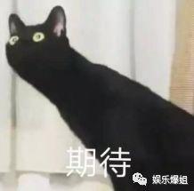 去年吃瓜神剧,回顾那些让人笑到肚子疼的剧集