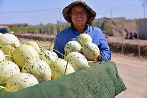 台前县吃瓜视频,揭秘当地特色美食与风土人情
