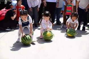 在线吃瓜比赛,一场别开生面的吃瓜比赛狂欢