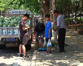 长垣市吃瓜群众