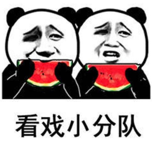 叫你偷瓜让你吃瓜表情包,趣味横生的夏日狂欢
