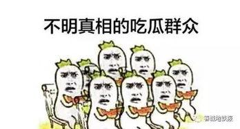 吃瓜为大,吃瓜群众视角下的娱乐圈风云录