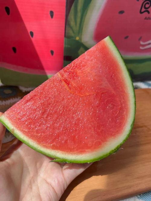 爱上吃瓜网,揭秘爱上吃瓜网的瓜事秘闻