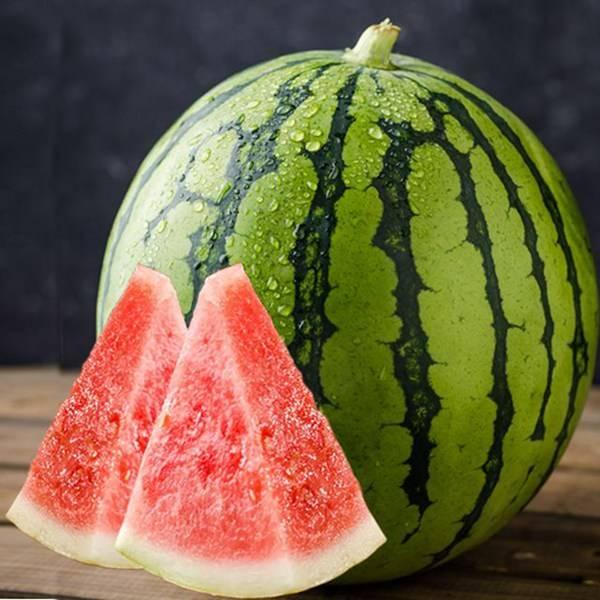 邹城还有瓜吃吗,还有瓜吃吗？