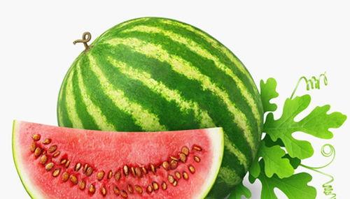 邹城还有瓜吃吗,还有瓜吃吗？