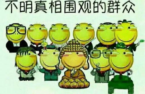 吃瓜群众小飞飞,吃瓜群众的趣味生活点滴