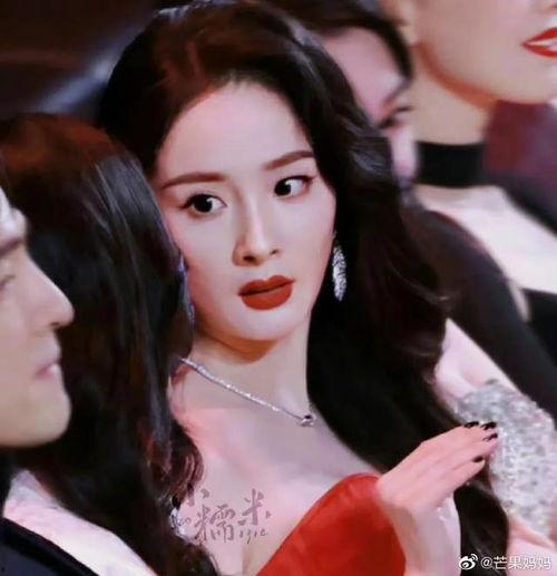 明星吃瓜微博之夜,吃瓜盛宴精彩纷呈