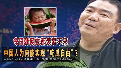 国人国际吃瓜网友,网络时代的国际观察与互动