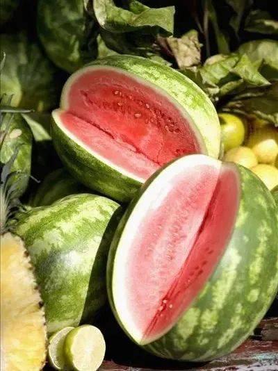 西瓜视频1元吃瓜,吃瓜狂欢等你来！