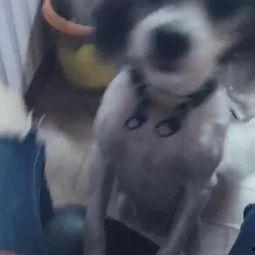 吃瓜吃得很无聊,揭秘无聊吃瓜背后的真相