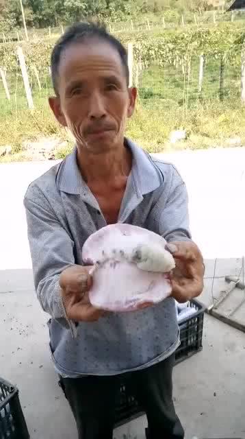 吃瓜大叔365,揭秘娱乐圈那些事儿