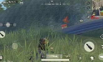 伏地吃瓜魔,揭秘网络时代的神秘现象