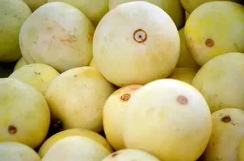 吃完瓜吃梨,尽享梨园盛景