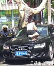 抓小三现场吃瓜,抓小三吃瓜现场，真相大白！