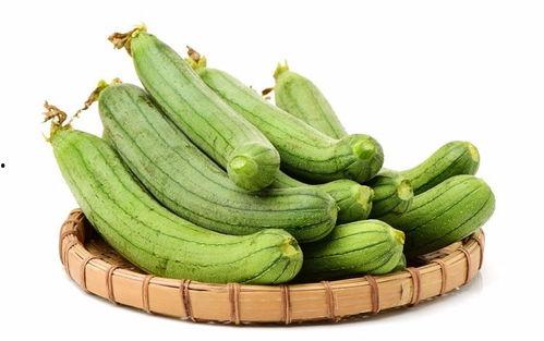 丝瓜吃长瓜,营养与生长的奇妙之旅