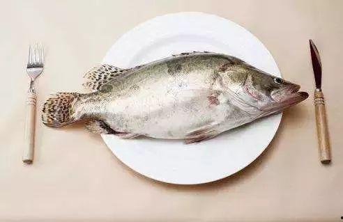 吃八瓜鱼过敏,探寻过敏源与应对策略